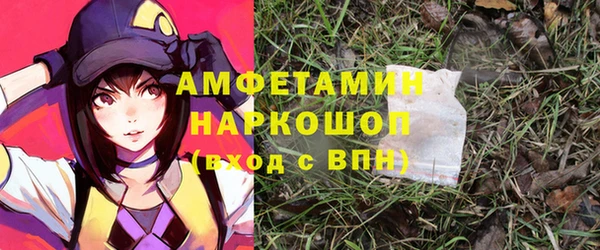 гидра Сосновоборск